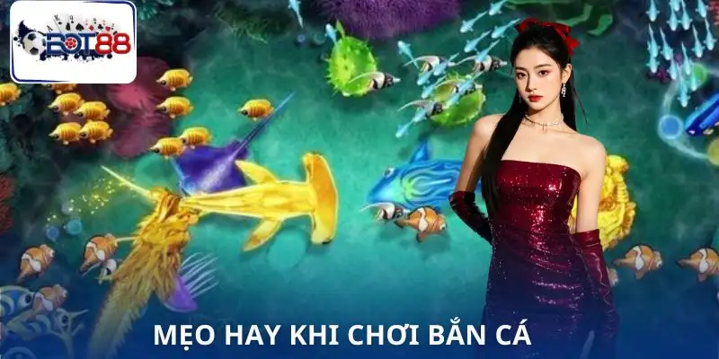 ban-ca-long-vuong-meo