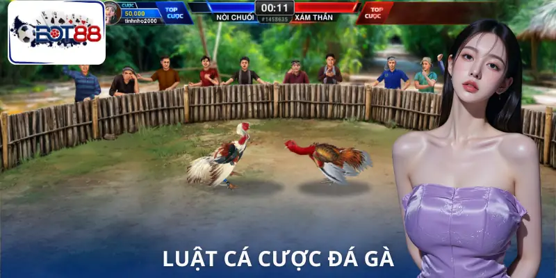 da-ga-bot88-luat-choi
