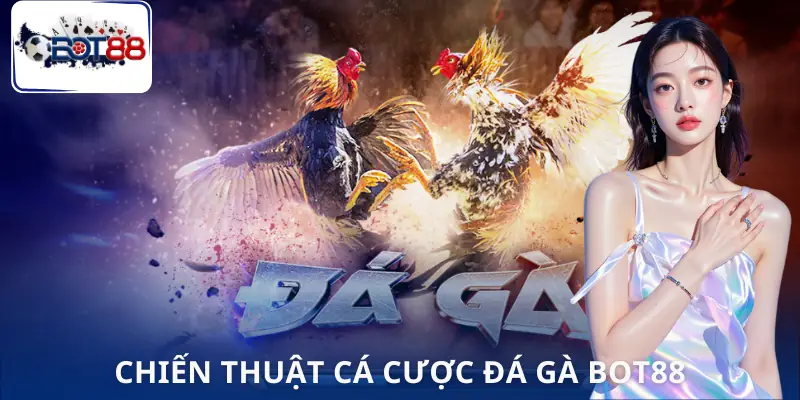 da-ga-bot88-meo-choi