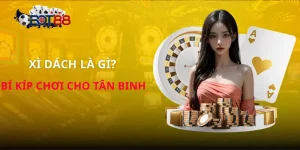 xi-dach-la-gi