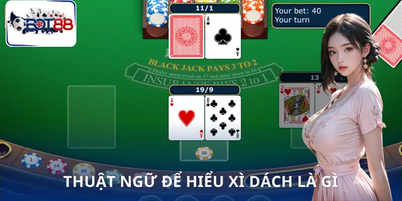 xi-dach-la-gi--thuat-ngu