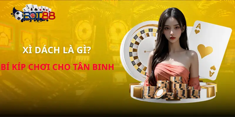 xi-dach-la-gi